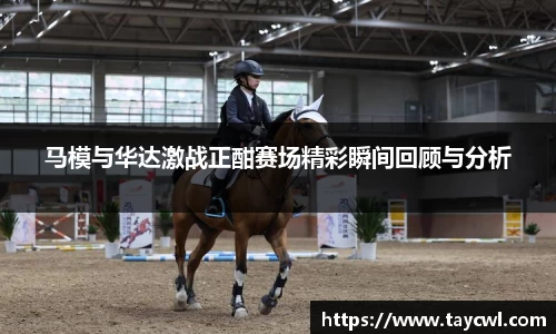 马模与华达激战正酣赛场精彩瞬间回顾与分析